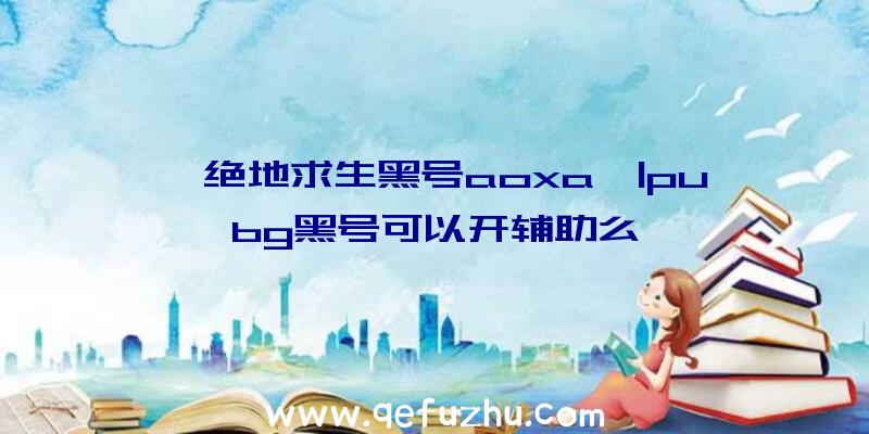 「绝地求生黑号aoxa」|pubg黑号可以开辅助么